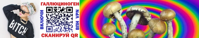 Псилоцибиновые грибы Psilocybe Купить закладки Ивдель
